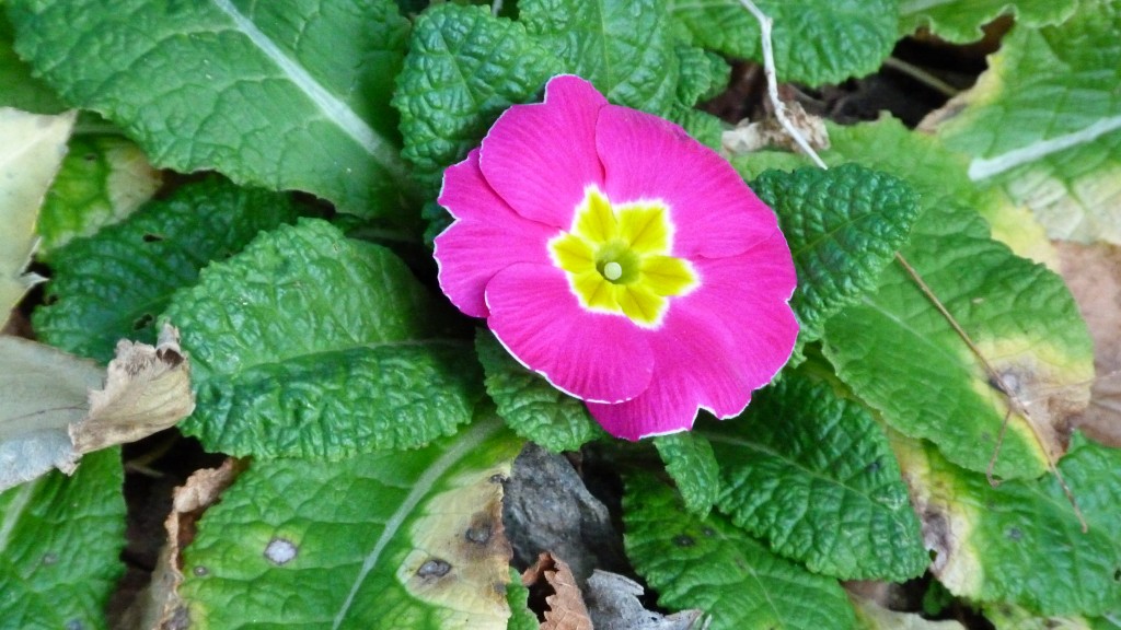 P1100512