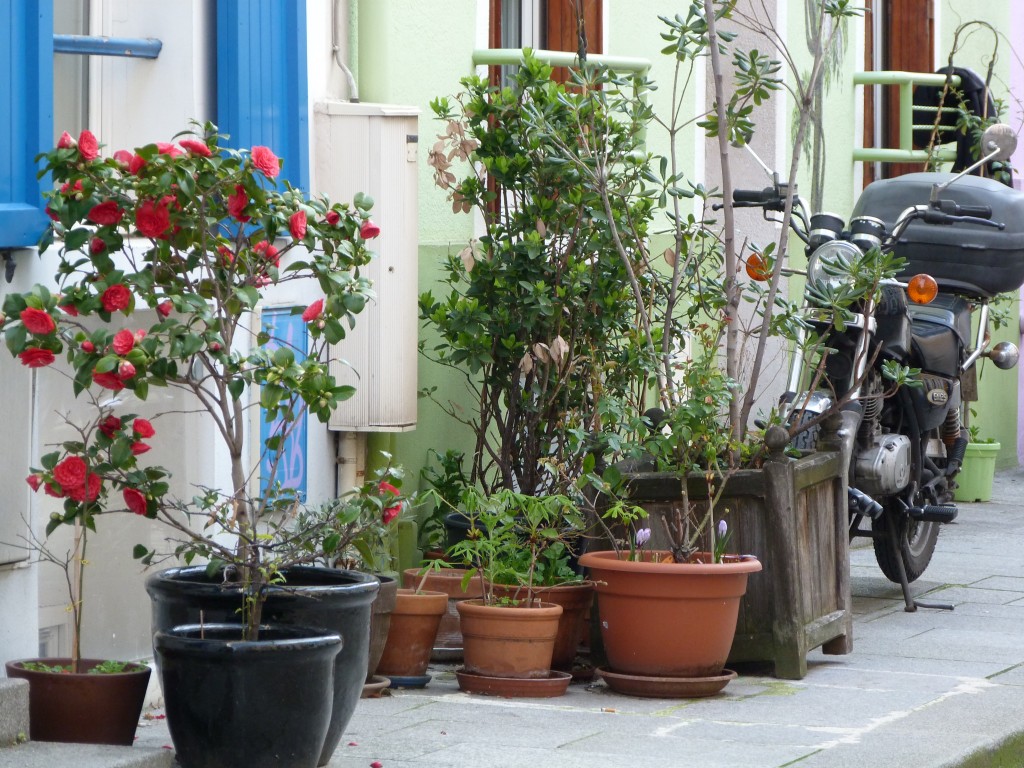 Rue-Crémieux-Paris (10)