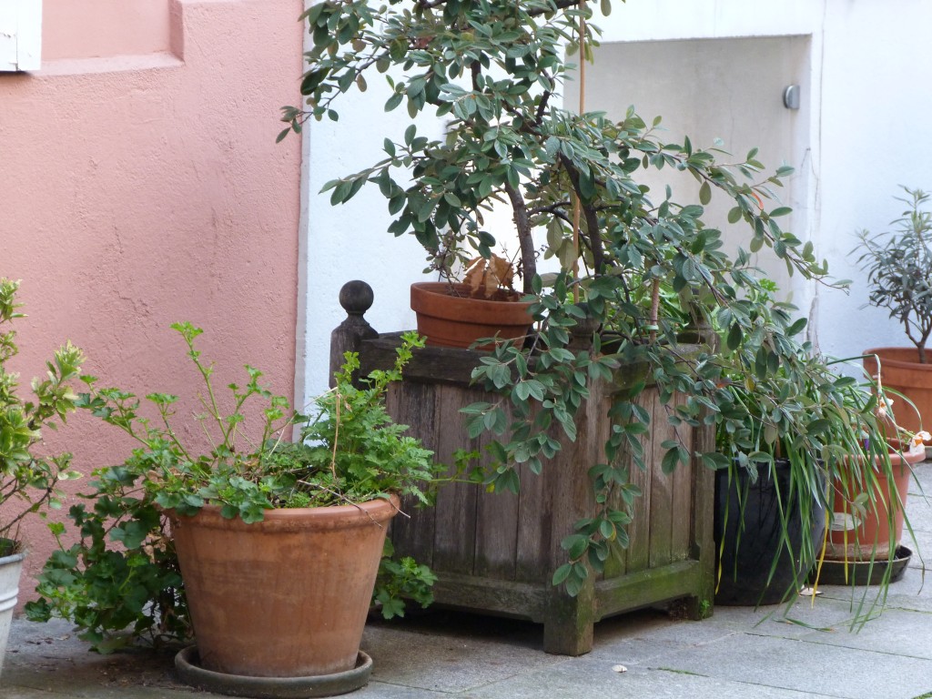 Rue-Crémieux-Paris (11)