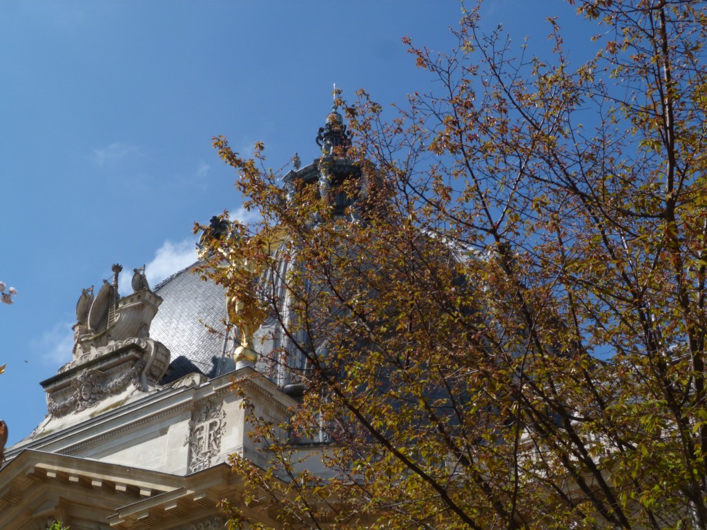 Jardin-Petit-Palais-Paris-Insolite (3)