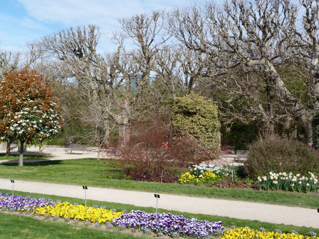 Jardin-des-plantes-Paris (12)