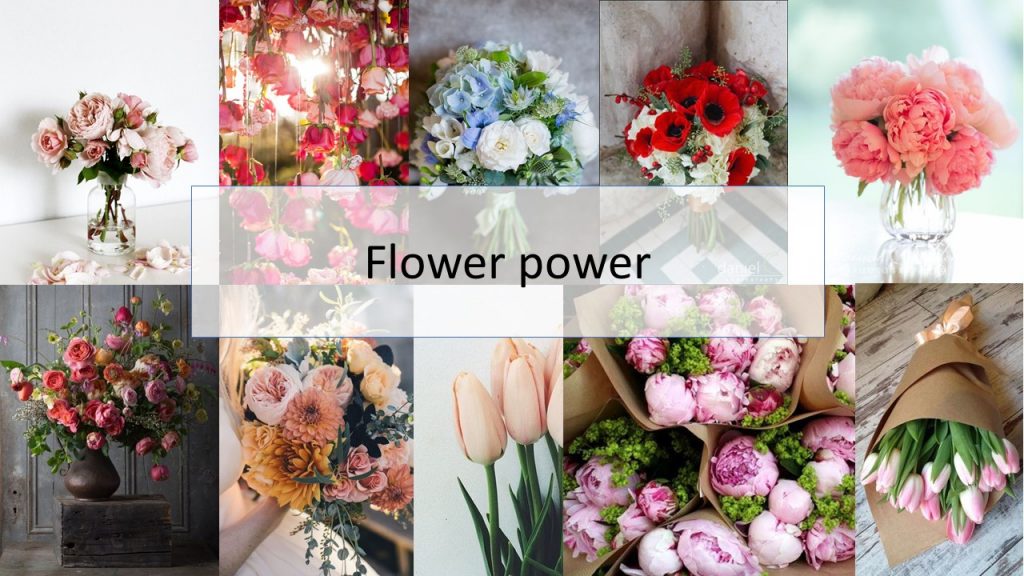 06.Flowers power